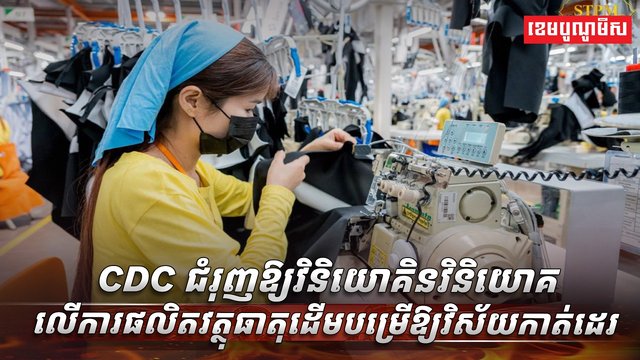 វិស័យកាត់ដេរ