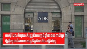 សេដ្ឋកិច្ចអាស៊ី