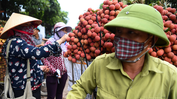 ទីផ្សារផ្លែឈើវៀតណាម កំពុងធ្លាក់ថ្លៃខ្លាំង