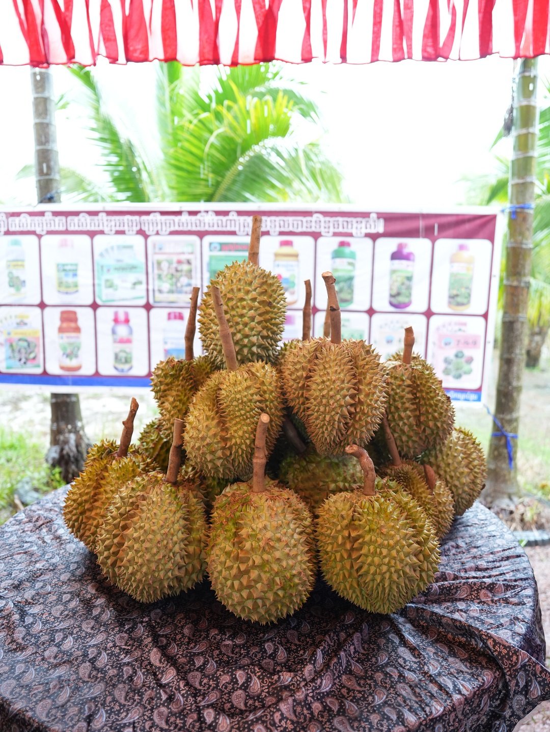 DSC01576