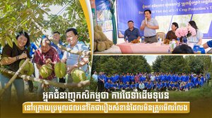 អ្នកជំនាញកសិកម្មថា ការថែទាំដើមទុរេននៅក្រោយប្រមូលផលនៅតែជារឿងសំខាន់ដែលមិនត្រូវមើលរំលង
