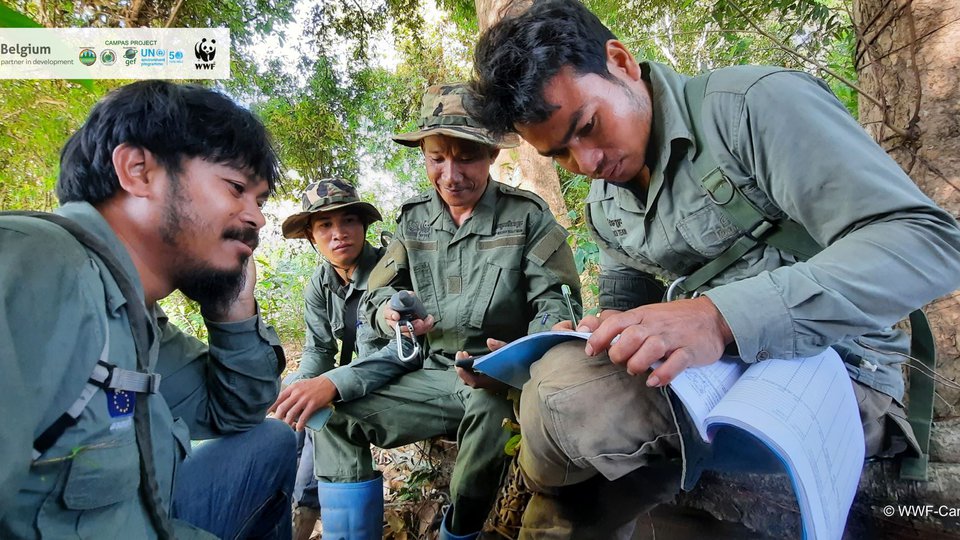 ក្រុមអ្នកស្រាវជ្រាវ កំពុងកត់ត្រាអំពីវត្តមានរបស់ហ្វូងកូនក្រពើភ្នំ