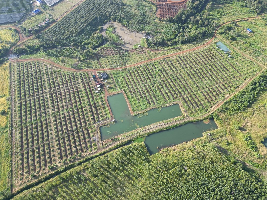 IMG_3766