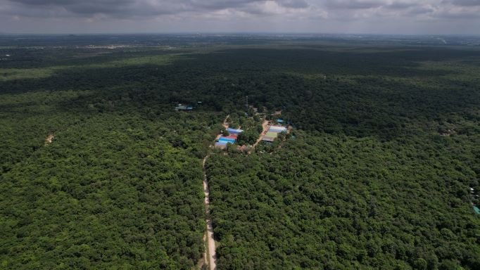DJI_0224