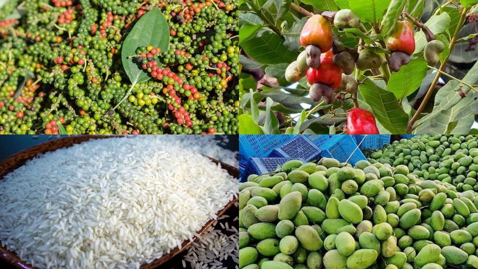 ហេតុអ្វីនៅឆ្នាំ២០២៣ តម្រូវការផលិតផលកសិកម្មពីកម្ពុជាអាចប្រឈមនឹងការថយចុះ?