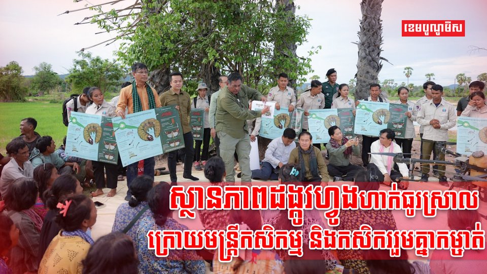ដង្កូវហ្វូង