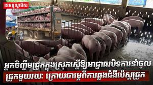 វិស័យចិញ្ចឹមសត្វ