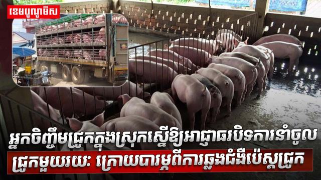 វិស័យចិញ្ចឹមសត្វ