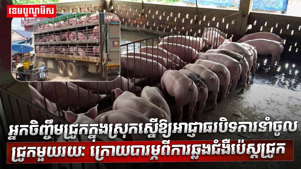 វិស័យចិញ្ចឹមសត្វ