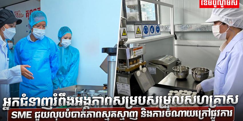 វិស័យ SME