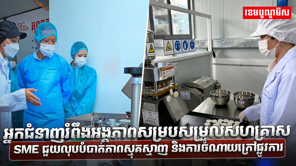វិស័យ SME