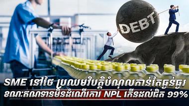 វិស័យ​ SME