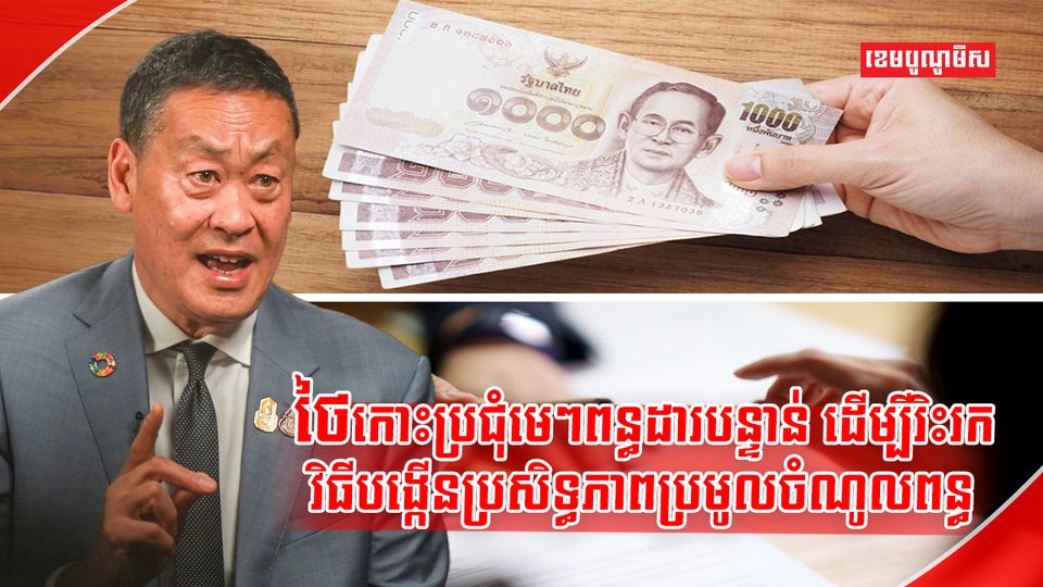 វិស័យពន្ធដារ