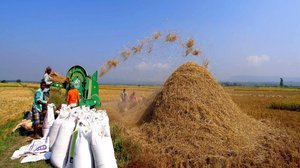 ថៃដាក់គោលដៅនាំចេញអង្ករ ៧,៥លានតោននៅឆ្នាំក្រោយនេះ