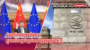 អង្គការ WTO