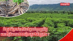 វិស័យកសិកម្ម