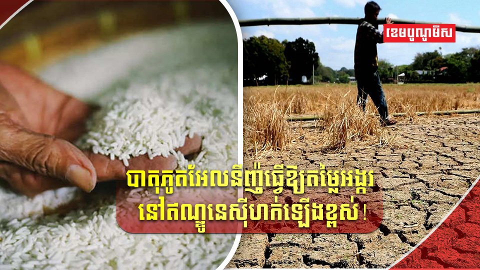 បាតុភូតអែលនីញ៉ូ