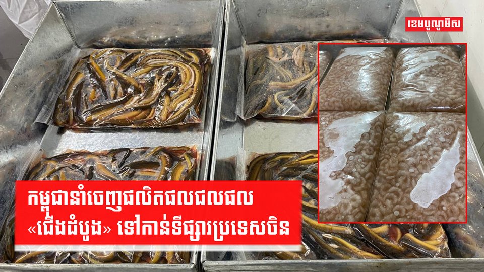 កម្ពុជានាំចេញផលិតផលជលផល «ជើងដំបូង» ទៅកាន់ទីផ្សារប្រទេសចិន