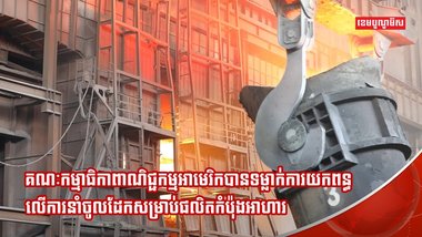 ក្រុមហ៊ុនផលិតដែក