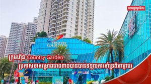 វិស័យអចលនទ្រព្យ