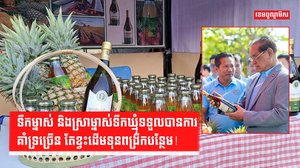 វិស័យ SME