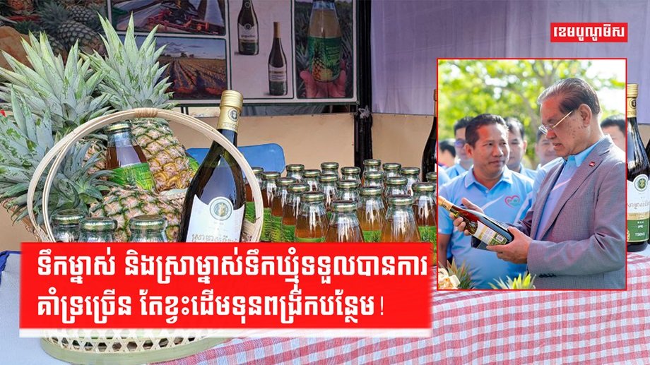 វិស័យ SME