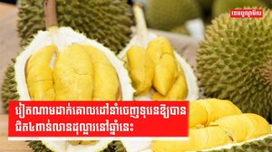 វិស័យកសិកម្ម