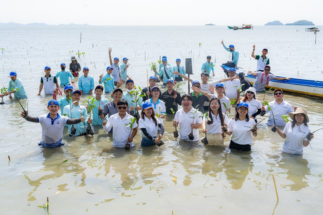 Tree planting