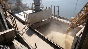 Ukraine losr grain seed