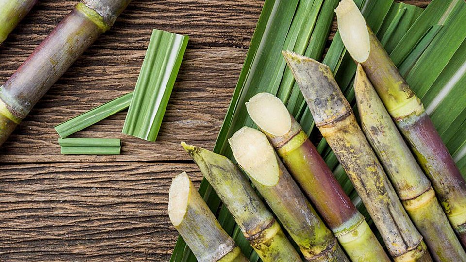 ថៃរំពឹងការនាំចេញស្ករអំពៅកើនឡើង ចំពេលការផលិតស្ករនៅឥណ្ឌាធ្លាក់ចុះ