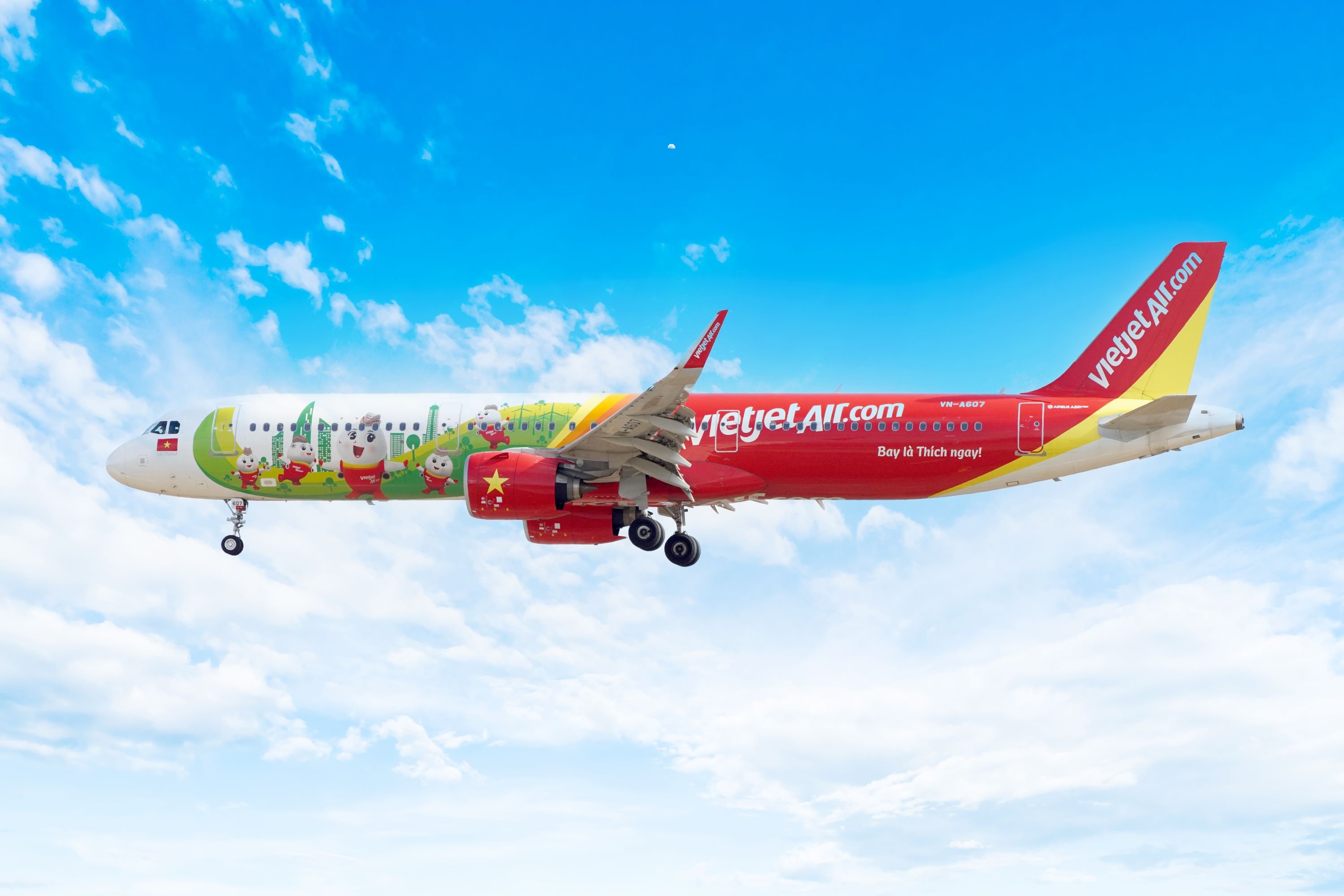 Vietjet aircraft (2)