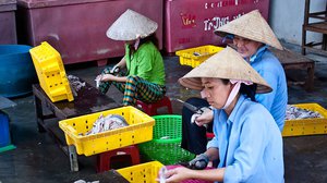 សហគ្រាសវាយនភ័ណ្ឌ និងសម្លៀកបំពាក់វៀតណាម ប្រឈមនឹងការបិទទ្វារដោយសារវីរុស Covid 19(រូបភាព៖ www.vietnam-briefing.com)