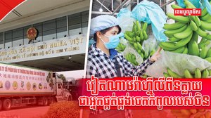 វិស័យពាណិជ្ជកម្ម