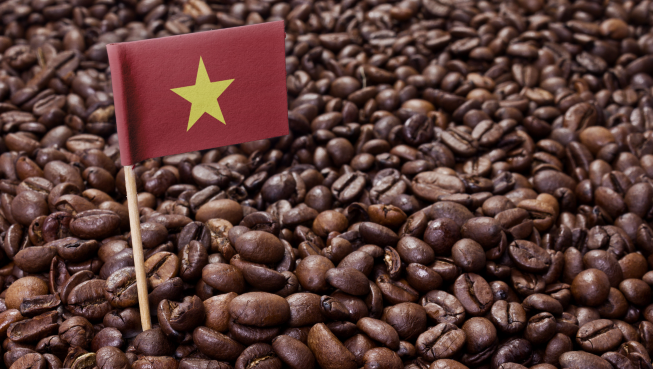 គ្រប់កាហ្វេរបស់វៀតណាម