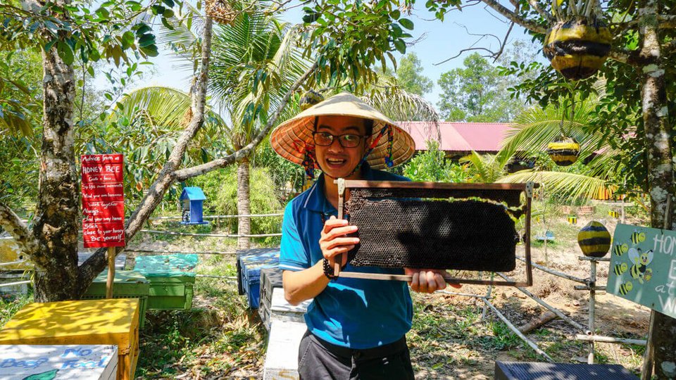 ការនាំចេញទឹកឃ្មុំរបស់វៀតណាមទៅកាន់កោះតៃវ៉ាន់​ កាន់តែមានតម្រូវការខ្ពស់។