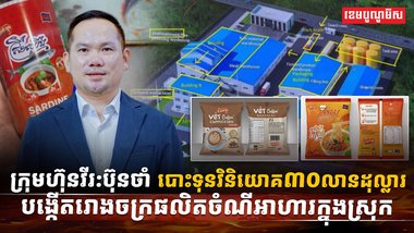 វិស័យ SME