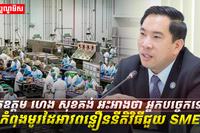 វិស័យ SME