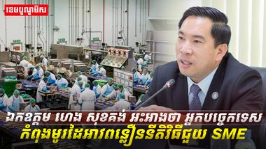 វិស័យ SME