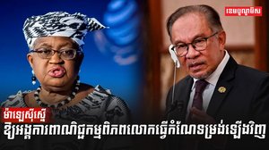 អង្គការ WTO
