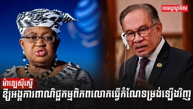 អង្គការ WTO