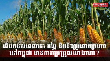 ទីផ្សារពោតក្រហម