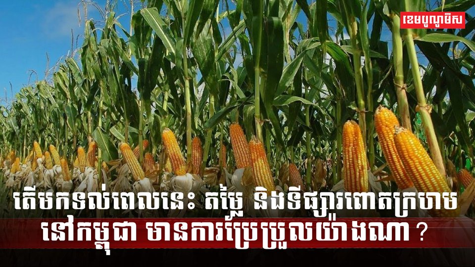 ទីផ្សារពោតក្រហម