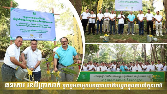 ធនាគារ ខេប៊ីប្រាសាក់ ចូលរួមជាមួយអាជ្ញាធរជាតិអប្សរាក្នុងការដាំកូនឈើ