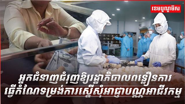 វិស័យ SME