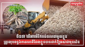 តម្លៃដំឡូងមីស្រស់នៅតែស្ថិតក្នុងកម្រិតទាប