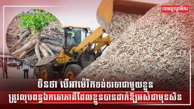 តម្លៃដំឡូងមីស្រស់នៅតែស្ថិតក្នុងកម្រិតទាប