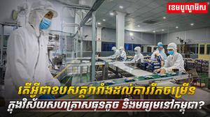 វិស័យ SME