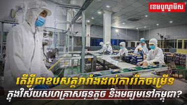 វិស័យ SME