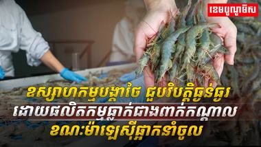 វិស័យ​ឧស្សាហកម្ម​