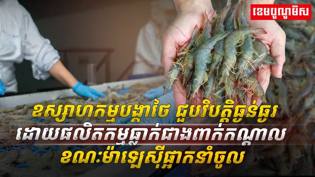 វិស័យ​ឧស្សាហកម្ម​